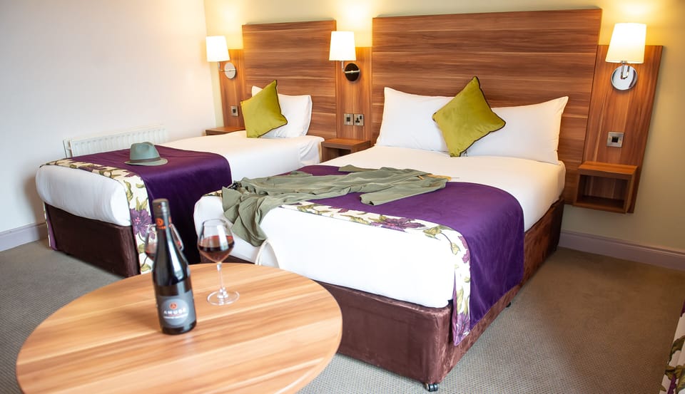 Standard Twin Room | Desk, iron/ironing board, free WiFi, bed sheets