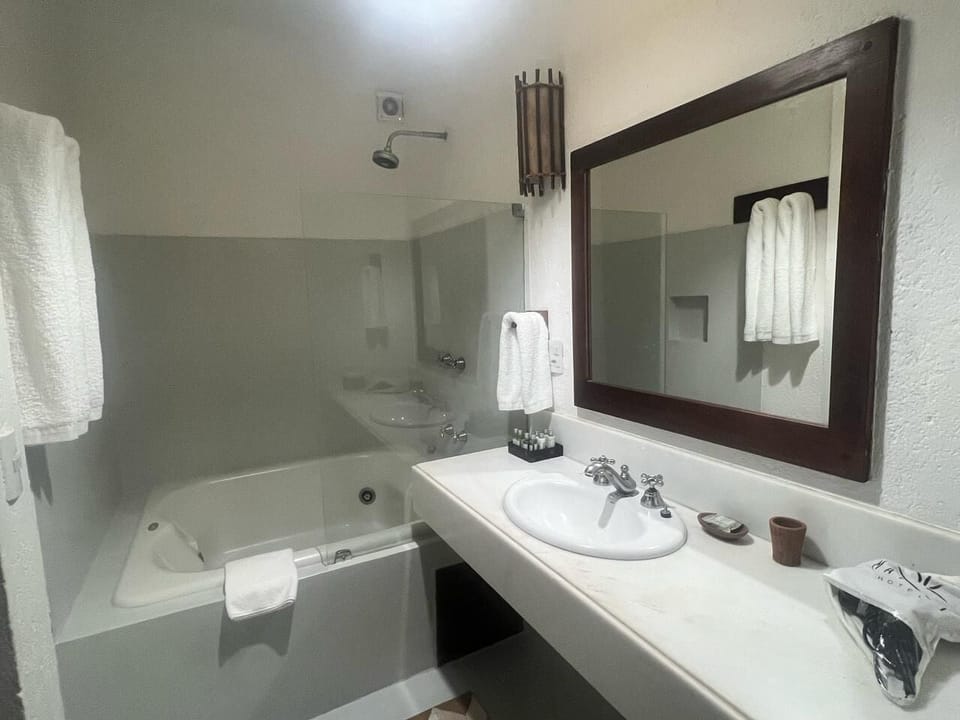 Deluxe Double Room, 1 King Bed | Bathroom | Combined shower/tub, jetted tub, hair dryer, towels