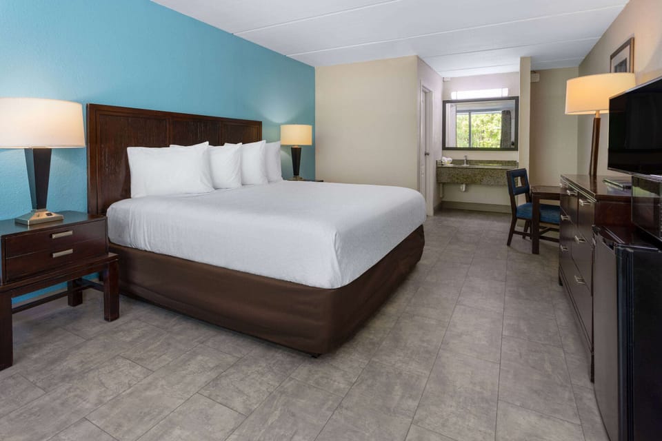 Standard Room, 1 King Bed, Accessible, Non Smoking (Bathtub w/ Grab Bars) | Free WiFi, bed sheets