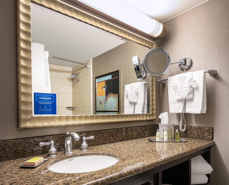Free toiletries, hair dryer, towels
