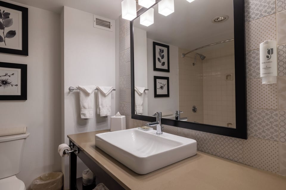 Combined shower/tub, free toiletries, hair dryer, towels