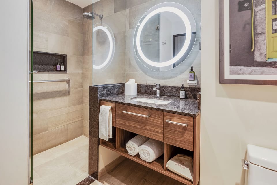 Suite, 1 Queen Bed | Bathroom | Shower, rainfall showerhead, free toiletries, hair dryer