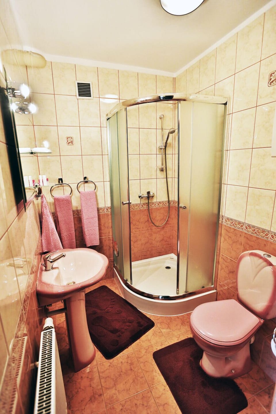 Shower, free toiletries, hair dryer, towels
