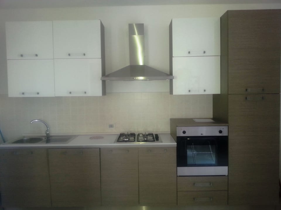 Full-size fridge, oven, stovetop, dishwasher