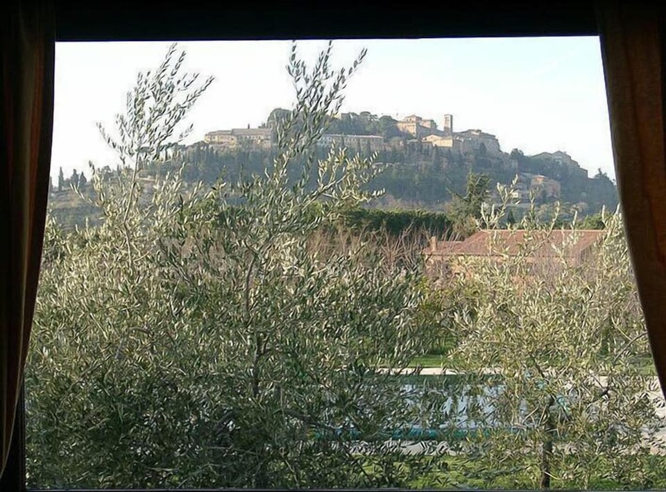 View from room