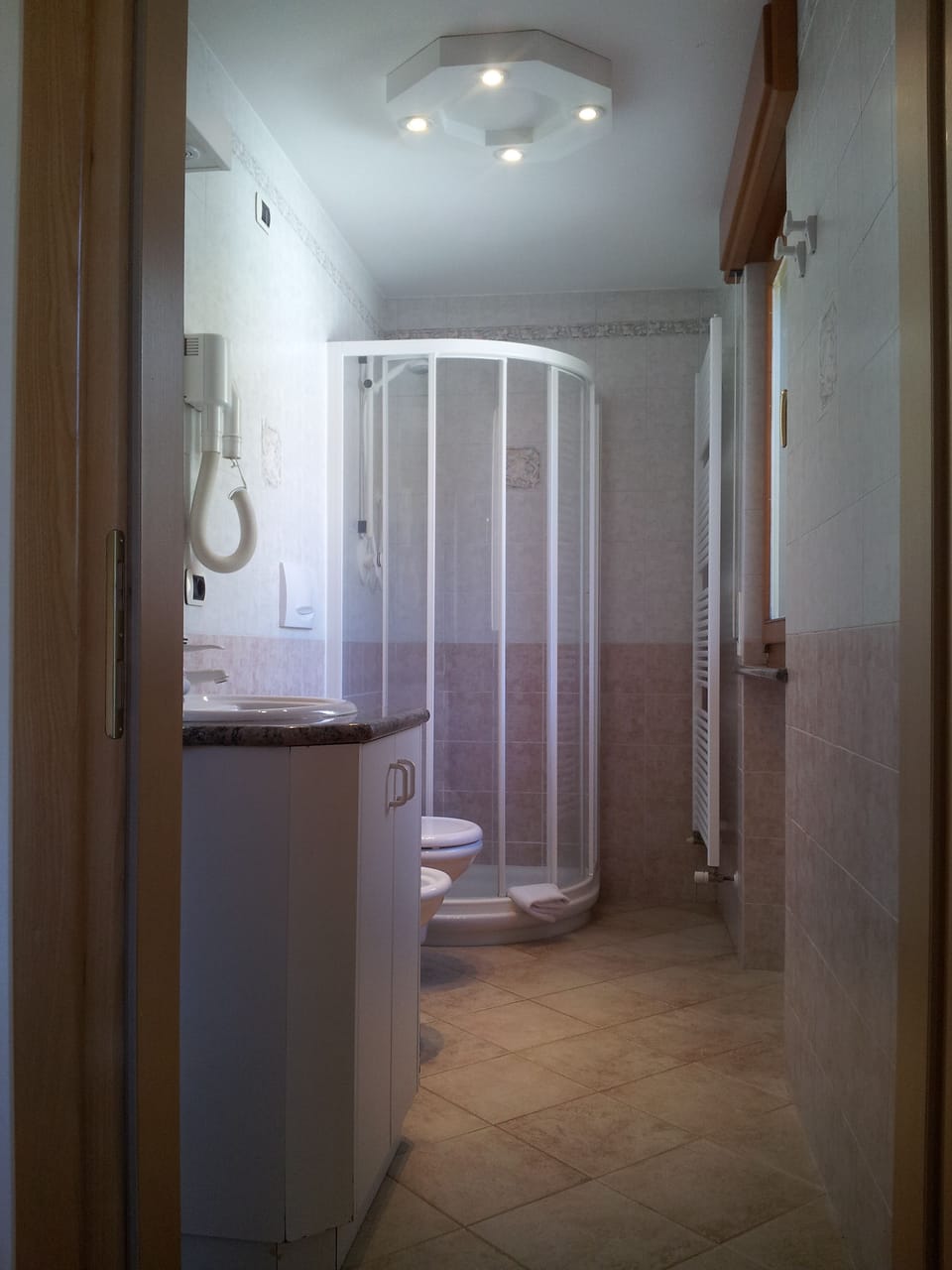 Shower, hair dryer, bidet, towels
