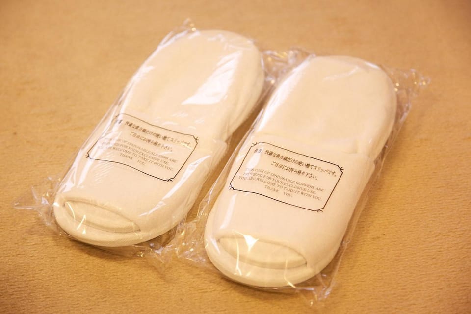 Shower, free toiletries, hair dryer, slippers