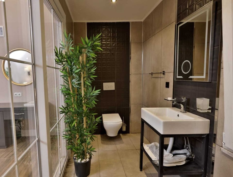 Deluxe Room | Bathroom | Shower, hydromassage showerhead, free toiletries, hair dryer