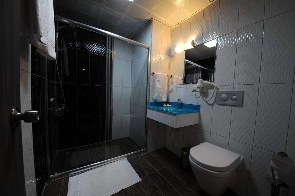 Standard Double Room | Bathroom | Shower, free toiletries, hair dryer, bathrobes