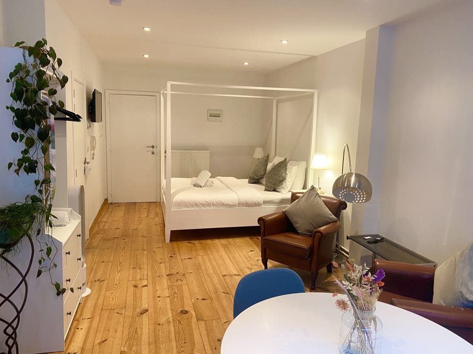 Deluxe Studio | Iron/ironing board, free WiFi, bed sheets
