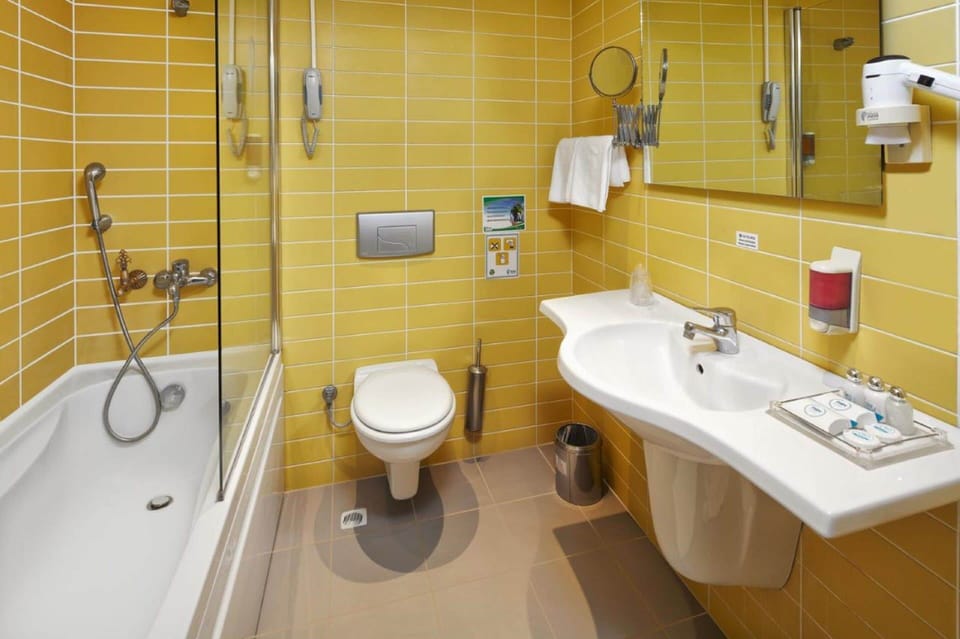 Standard Double Room | Bathroom | Bathtub, free toiletries, hair dryer, bathrobes