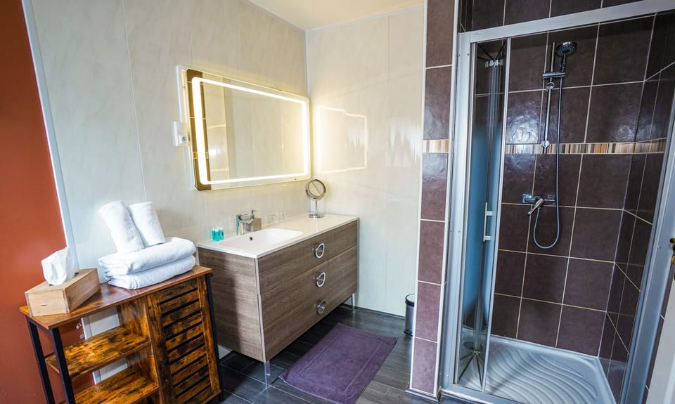 Room (Loft Industriel) | Bathroom | Shower, free toiletries, hair dryer, towels