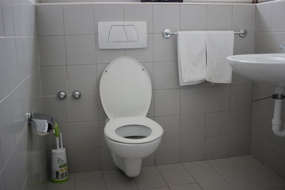 Shower, free toiletries, slippers, towels
