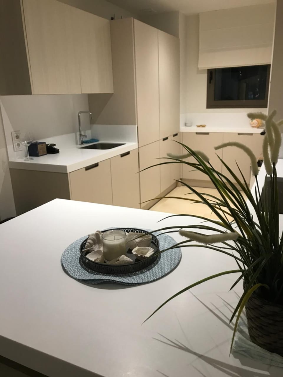 Full-size fridge, microwave, oven, stovetop