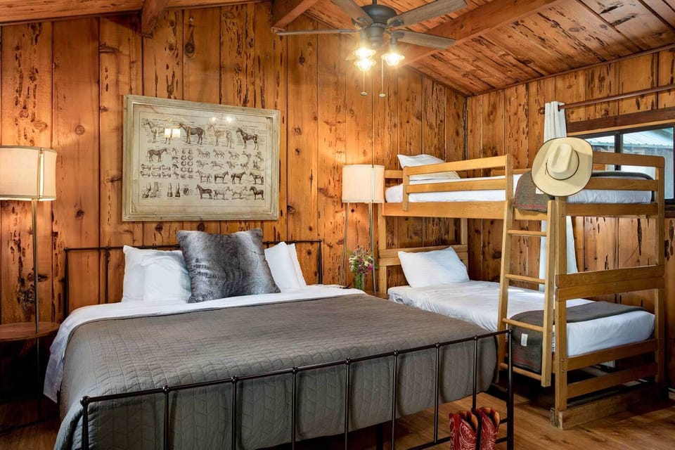 Signature Studio | Egyptian cotton sheets, premium bedding, down comforters