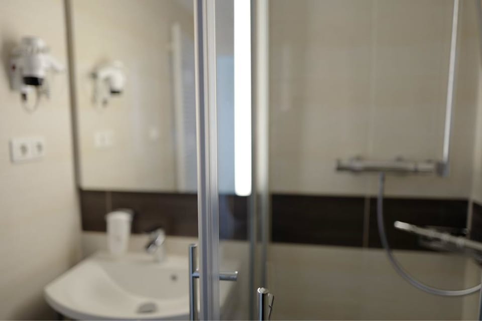 Business Single Room | Bathroom | Shower, free toiletries, hair dryer, towels