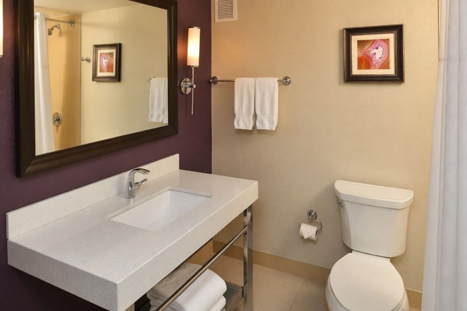 Combined shower/tub, free toiletries, hair dryer, towels