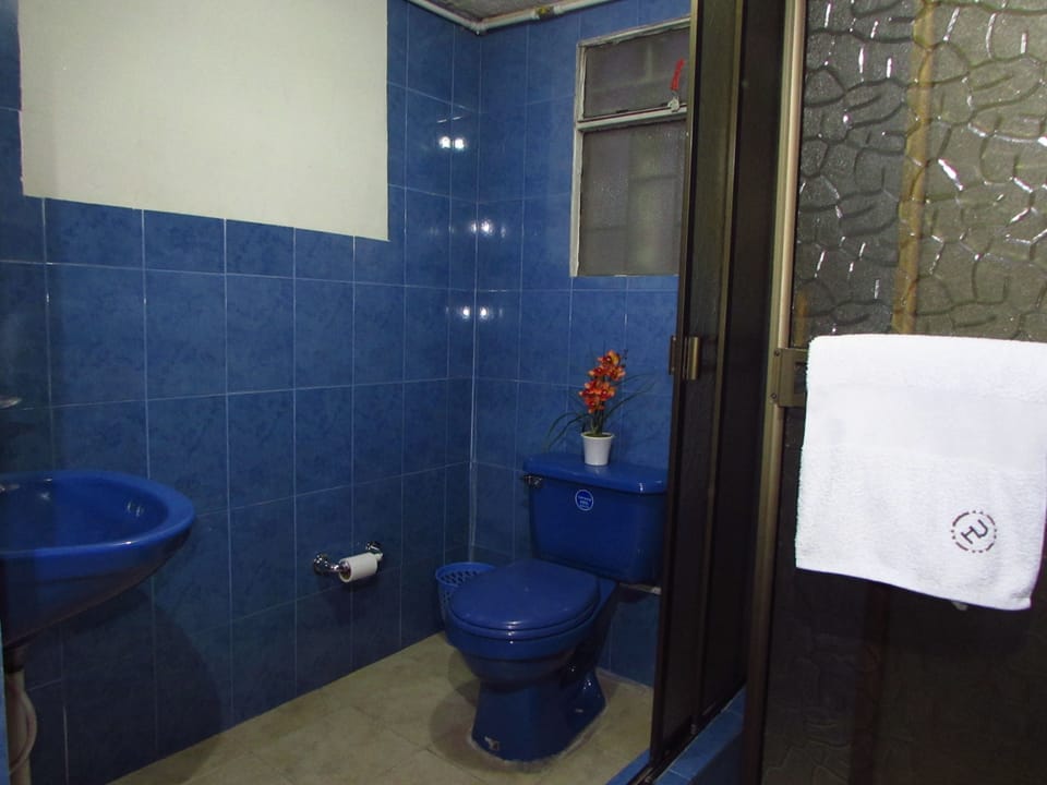Shower, towels, soap, toilet paper