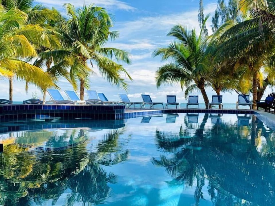 Outdoor pool, sun loungers