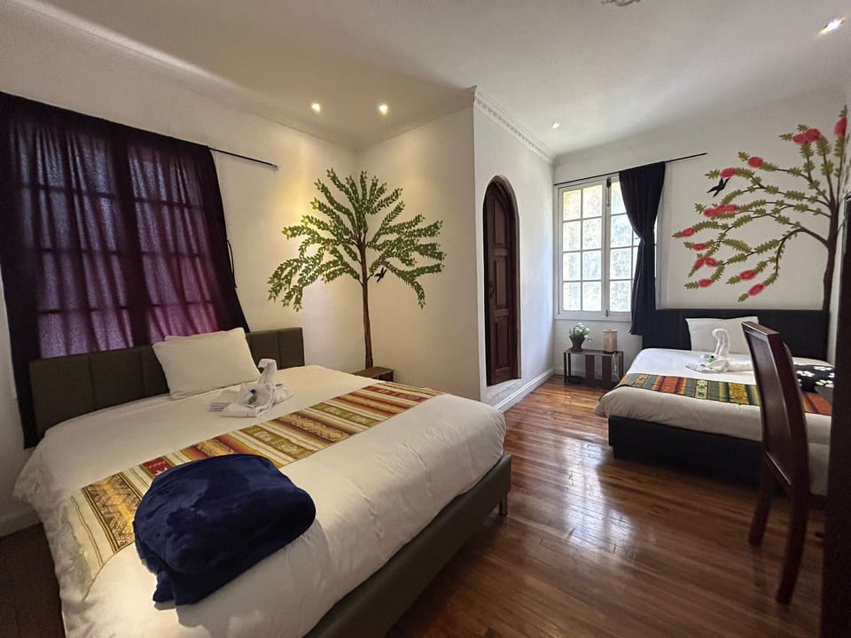 Superior Twin Room, 1 Bedroom | Down comforters, Select Comfort beds, desk, laptop workspace