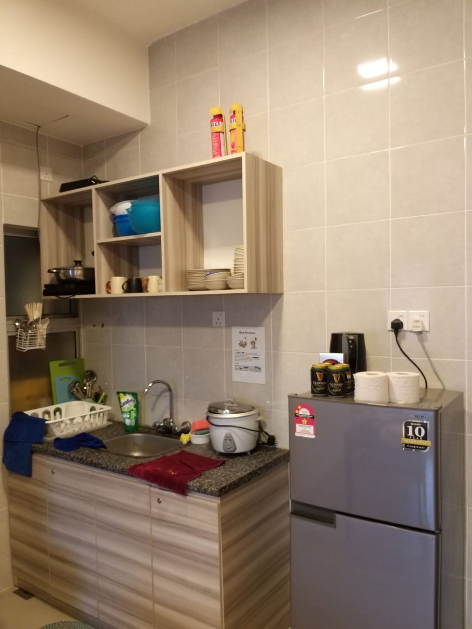 Two Bedroom Apartment  | Private kitchen | Fridge, microwave, electric kettle, rice cooker