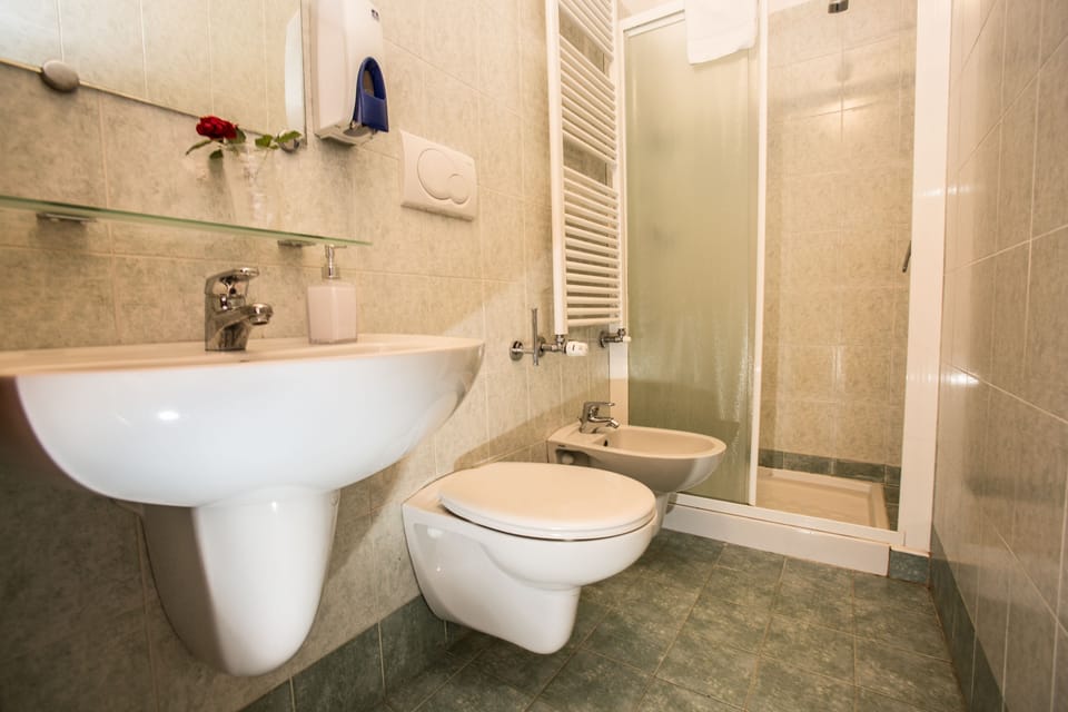 Shower, free toiletries, hair dryer, bidet