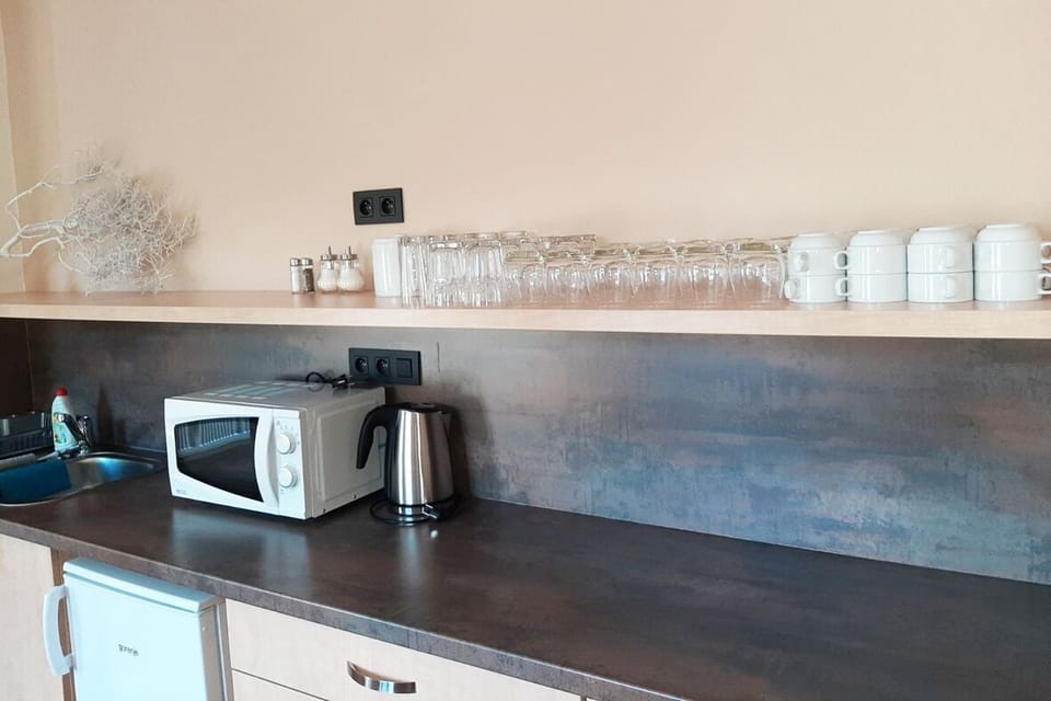 Fridge, microwave, cookware/dishes/utensils, cleaning supplies