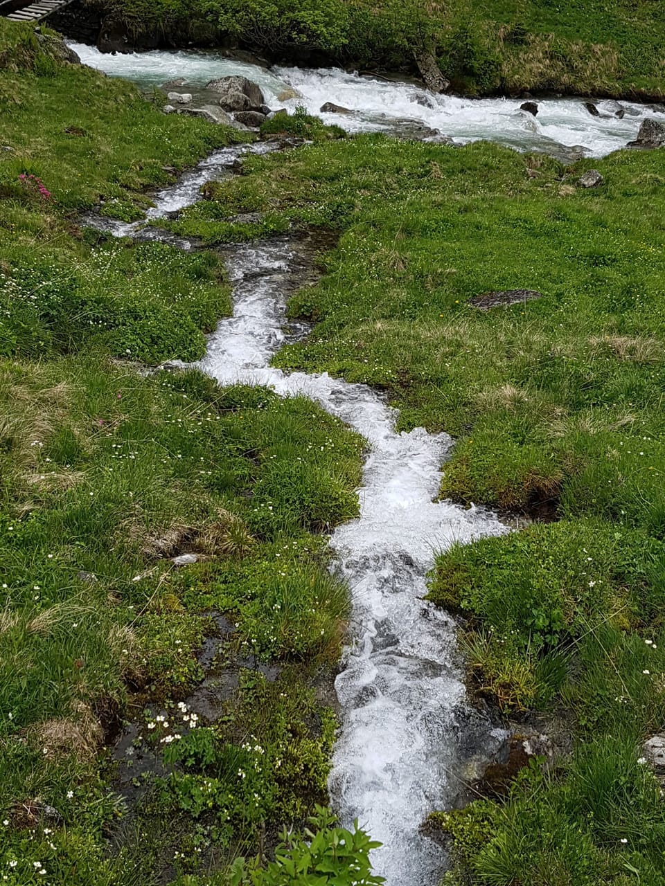 Hiking