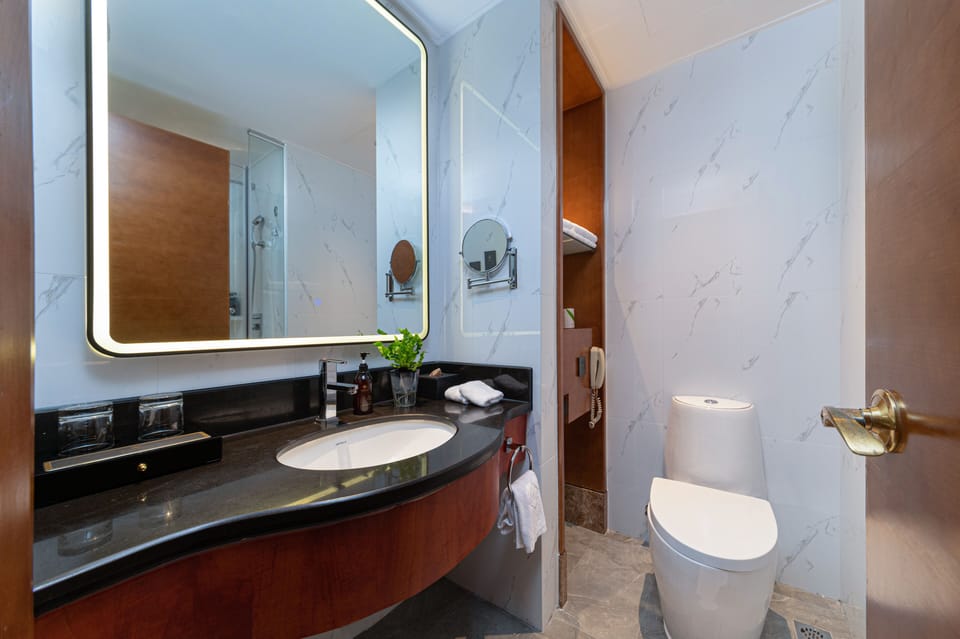 Deluxe Room | Bathroom | Free toiletries, hair dryer, bathrobes, slippers