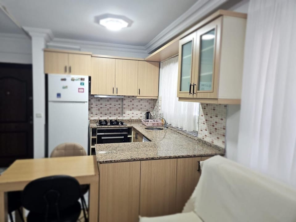 Family Apartment, 1 Bedroom | Private kitchen | Full-size fridge, oven, stovetop, electric kettle