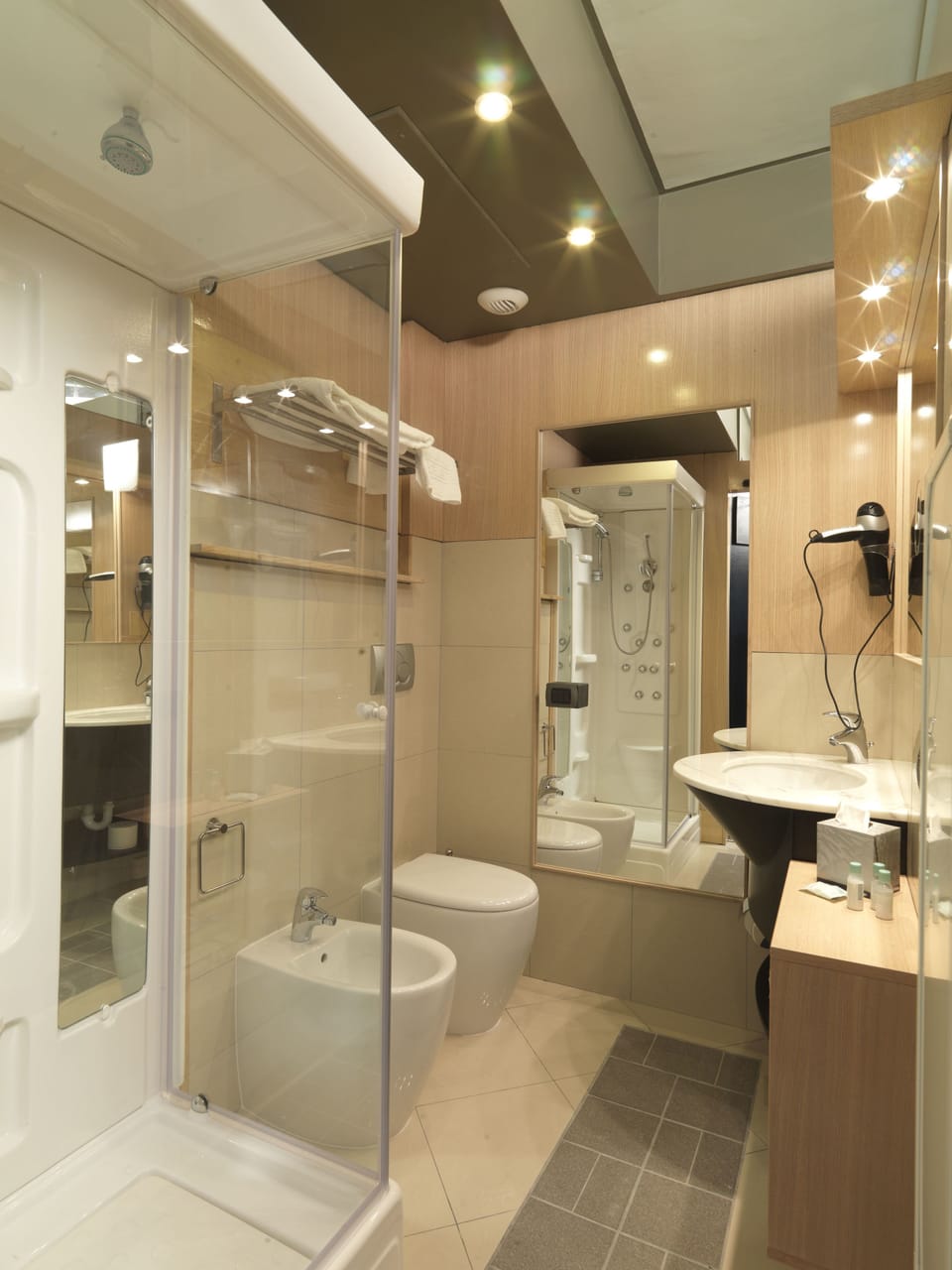 Shower, hydromassage showerhead, hair dryer, bidet
