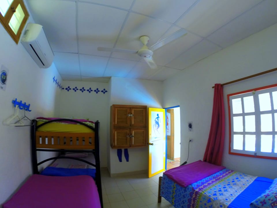 Basic Triple Room | WiFi (free)