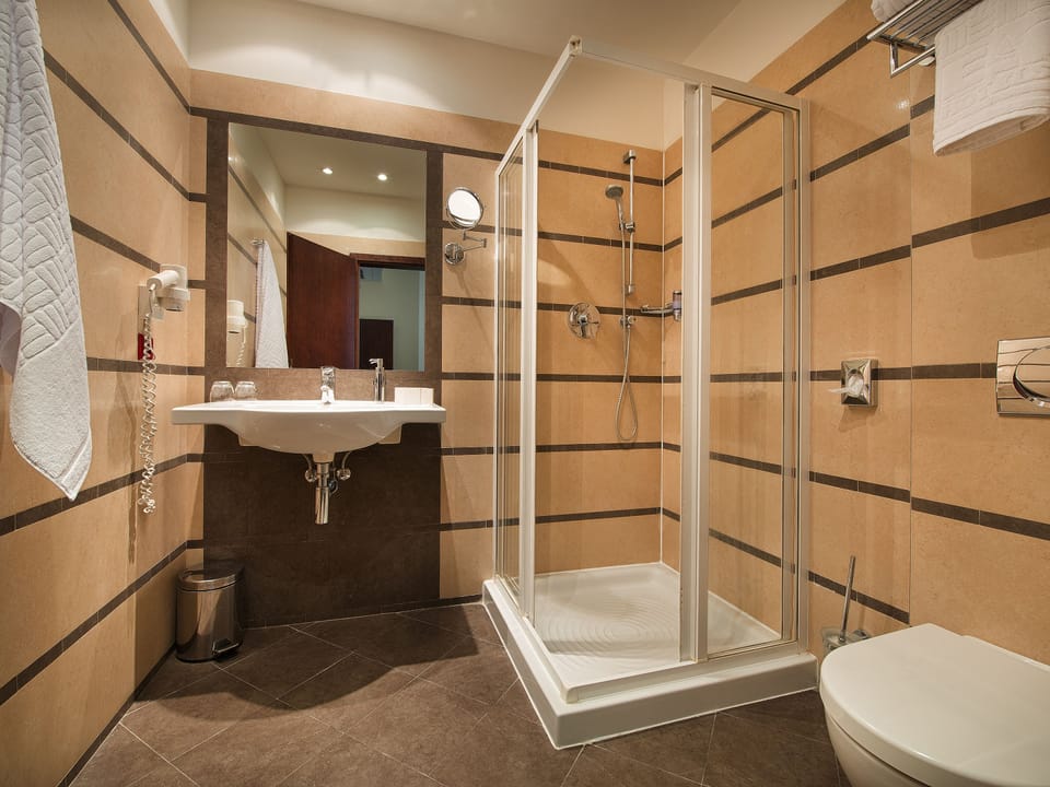 Shower, free toiletries, hair dryer, bathrobes
