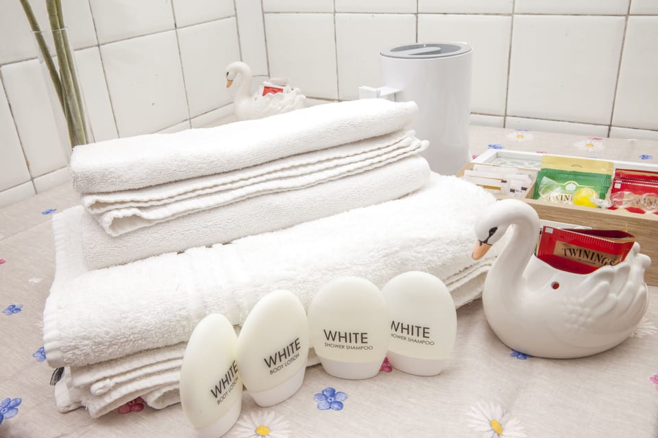 Shower, hair dryer, bidet, towels