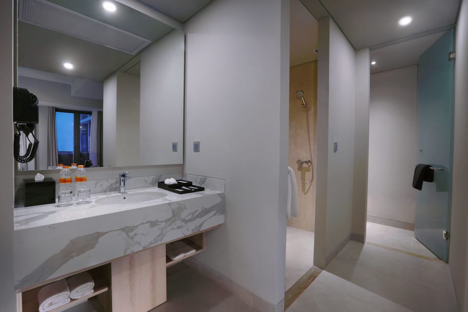 Deluxe Room | Bathroom | Free toiletries, hair dryer, slippers, towels