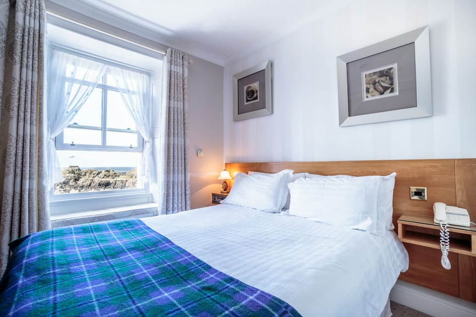 Double Room, 1 King Bed, Harbor View | Individually furnished, desk, free WiFi, bed sheets
