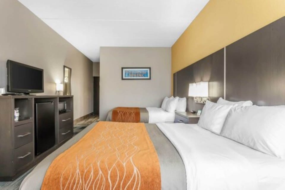 Desk, blackout drapes, soundproofing, iron/ironing board