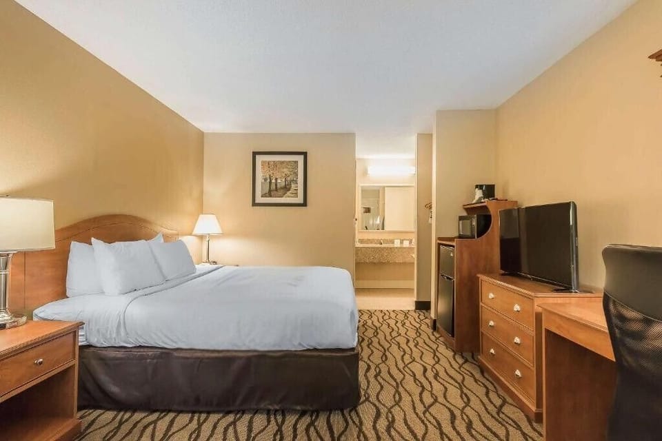 Standard Room, 1 King Bed, Non Smoking | Desk, laptop workspace, blackout drapes, iron/ironing board