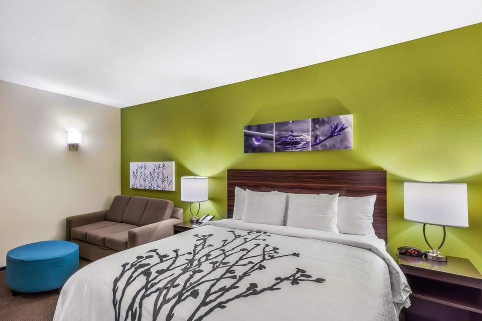 Suite, 1 King Bed with Sofa bed, Non Smoking | Pillowtop beds, desk, laptop workspace, blackout drapes