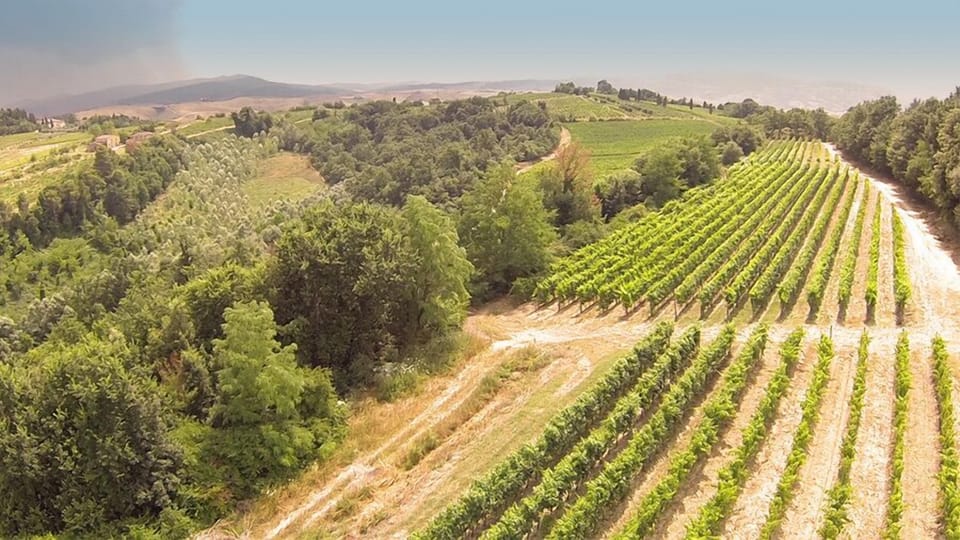Winery