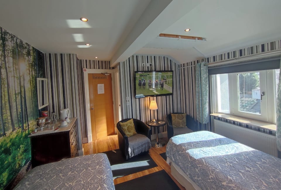 Standard Twin Room, 2 Twin Beds, Non Smoking, Garden View | Individually decorated, individually furnished, blackout drapes