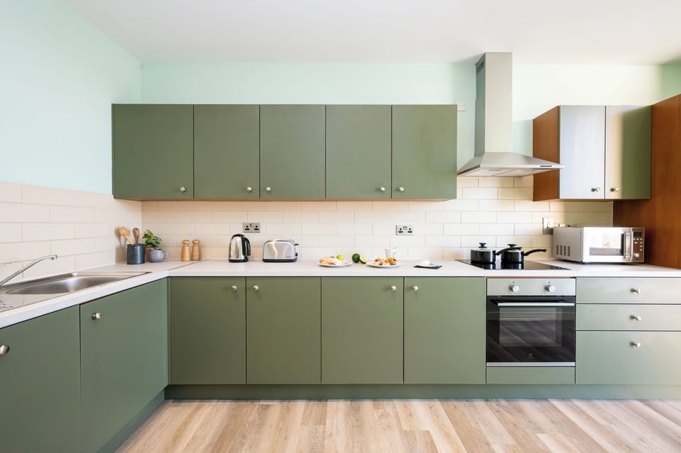 Fridge, microwave, stovetop, dishwasher