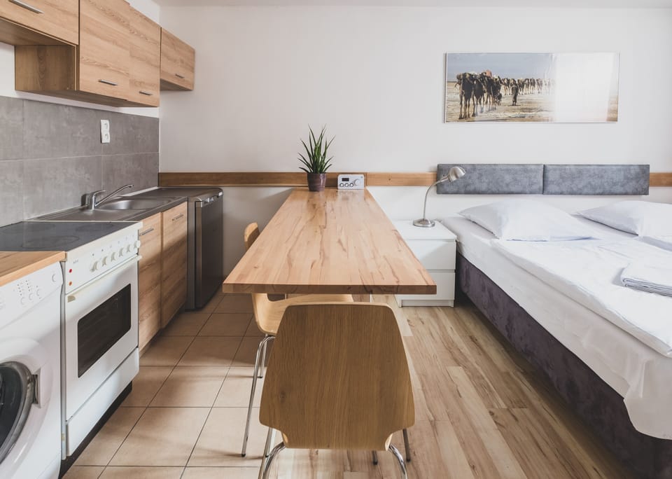Apartment, 1 Bedroom (Danakil) | Private kitchenette | Fridge, stovetop, coffee/tea maker, cookware/dishes/utensils