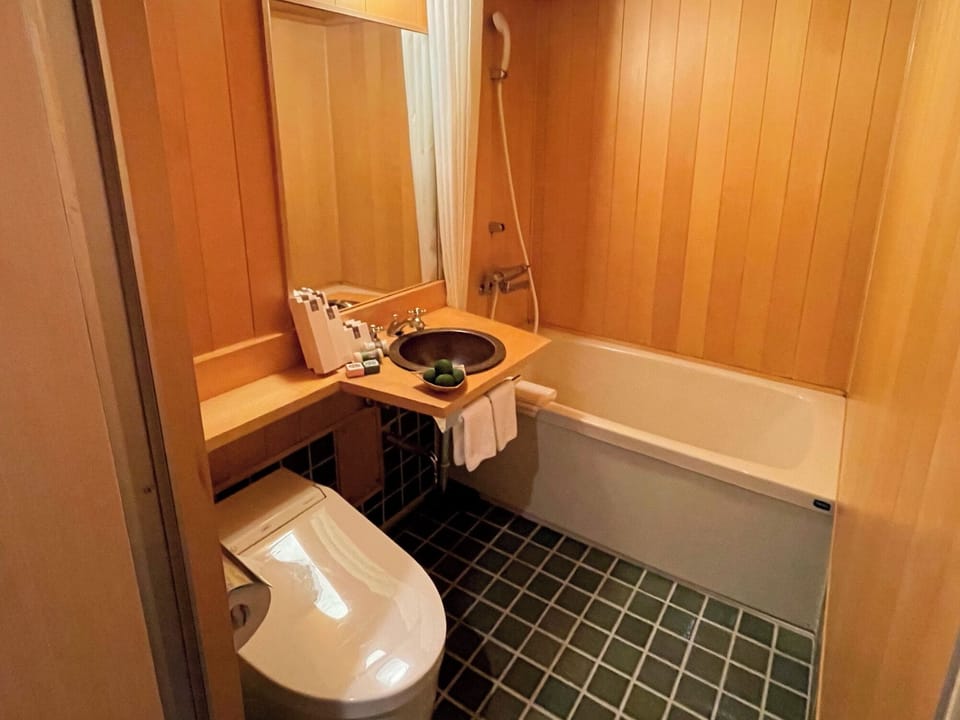 Combined shower/tub, free toiletries, hair dryer, slippers