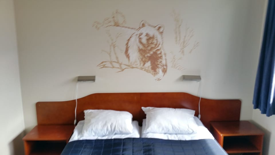 Double or Twin Room | Minibar, desk, blackout drapes, iron/ironing board (on request)