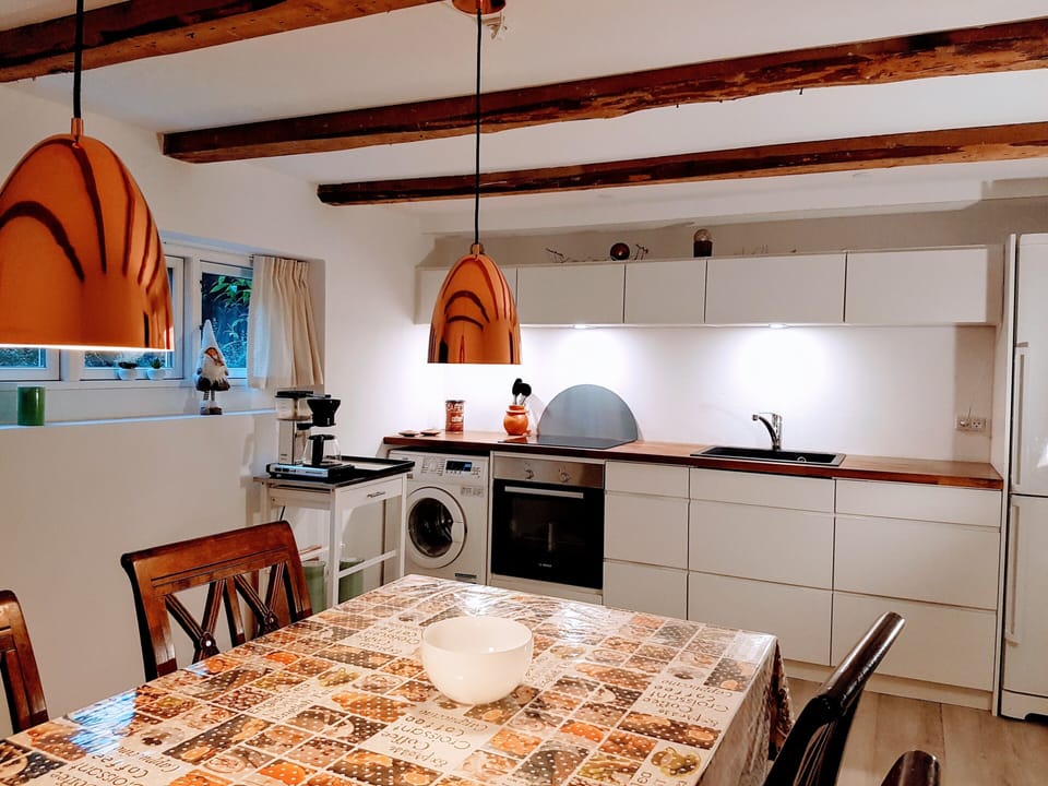 Oven, stovetop, dishwasher, cookware/dishes/utensils