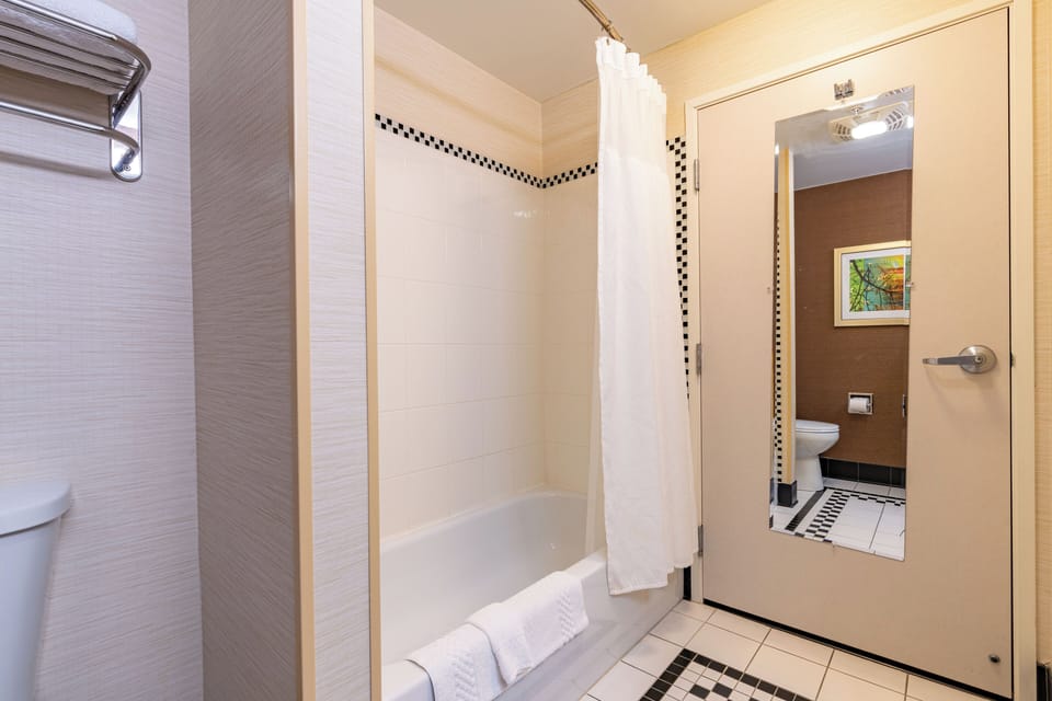 Combined shower/tub, free toiletries, hair dryer, towels