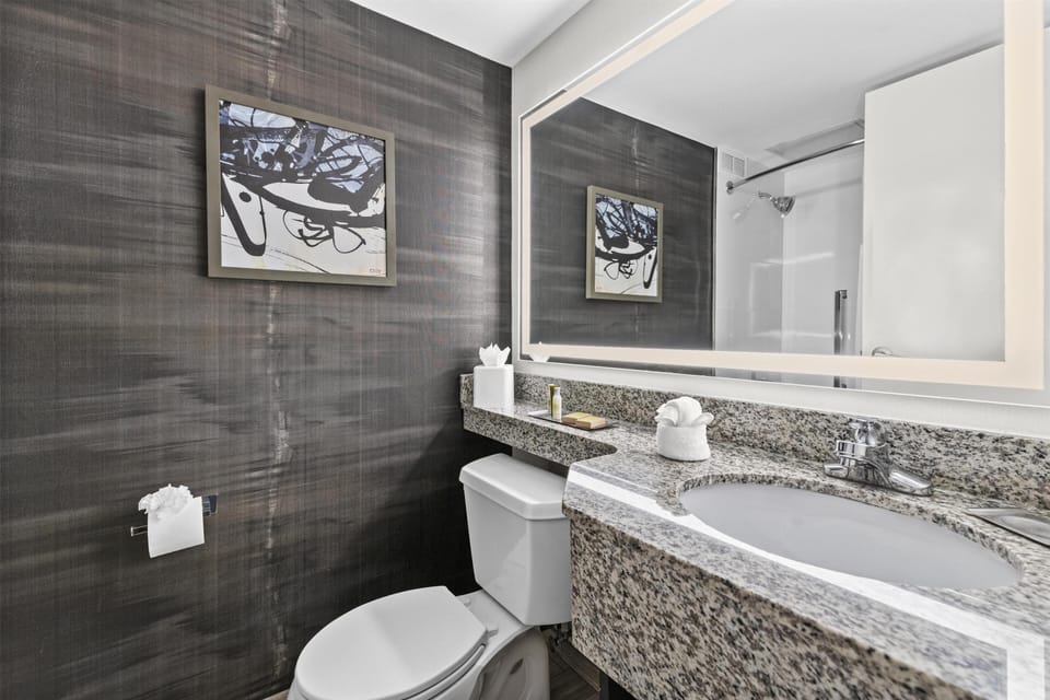 Combined shower/tub, free toiletries, hair dryer, towels