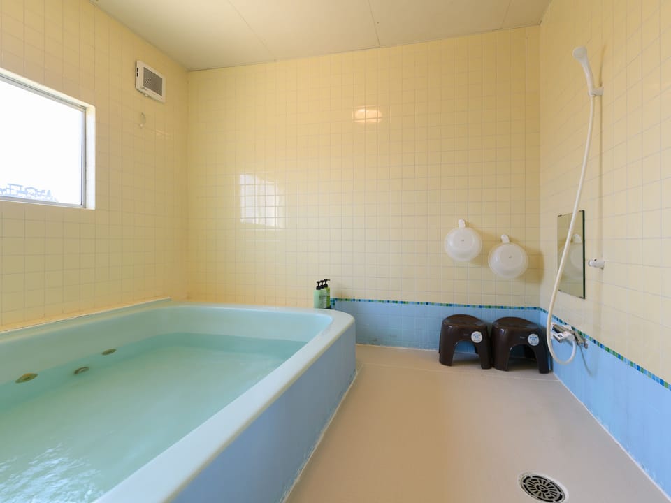 Combined shower/tub, free toiletries, hair dryer, slippers