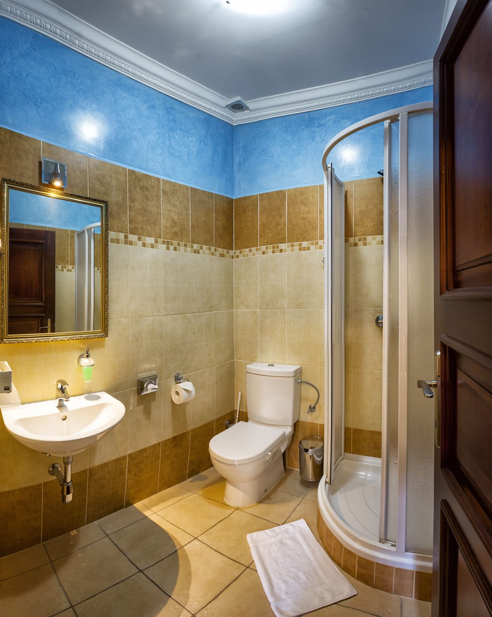 Superior Single Room, 1 Twin Bed | Bathroom | Shower, free toiletries, hair dryer, towels